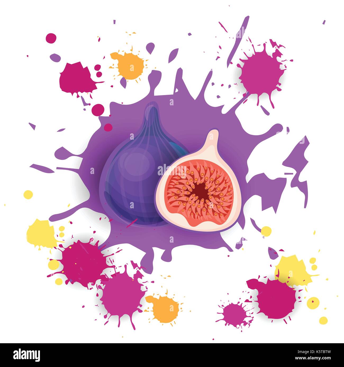 Fig Fruit Logo Watercolor Splash Design Fresh Natural Food Stock Vector