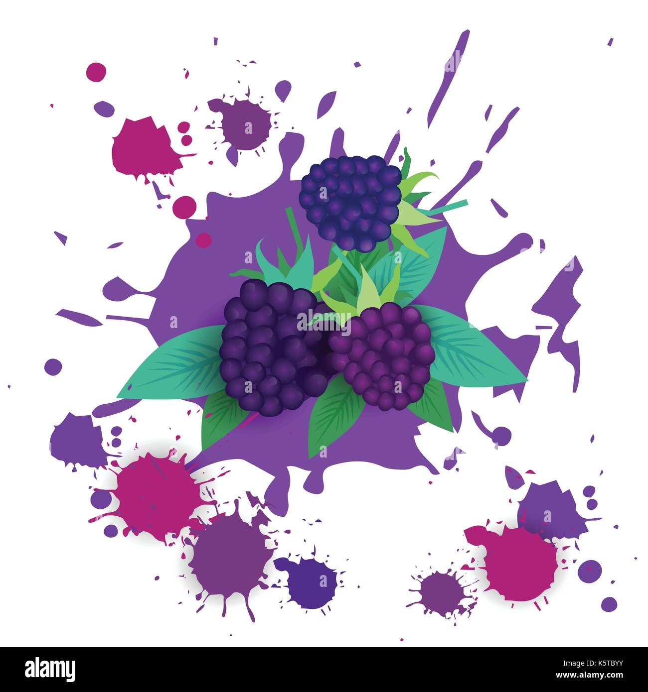 Download Blackberry Fruit Logo Watercolor Splash Design Fresh ...
