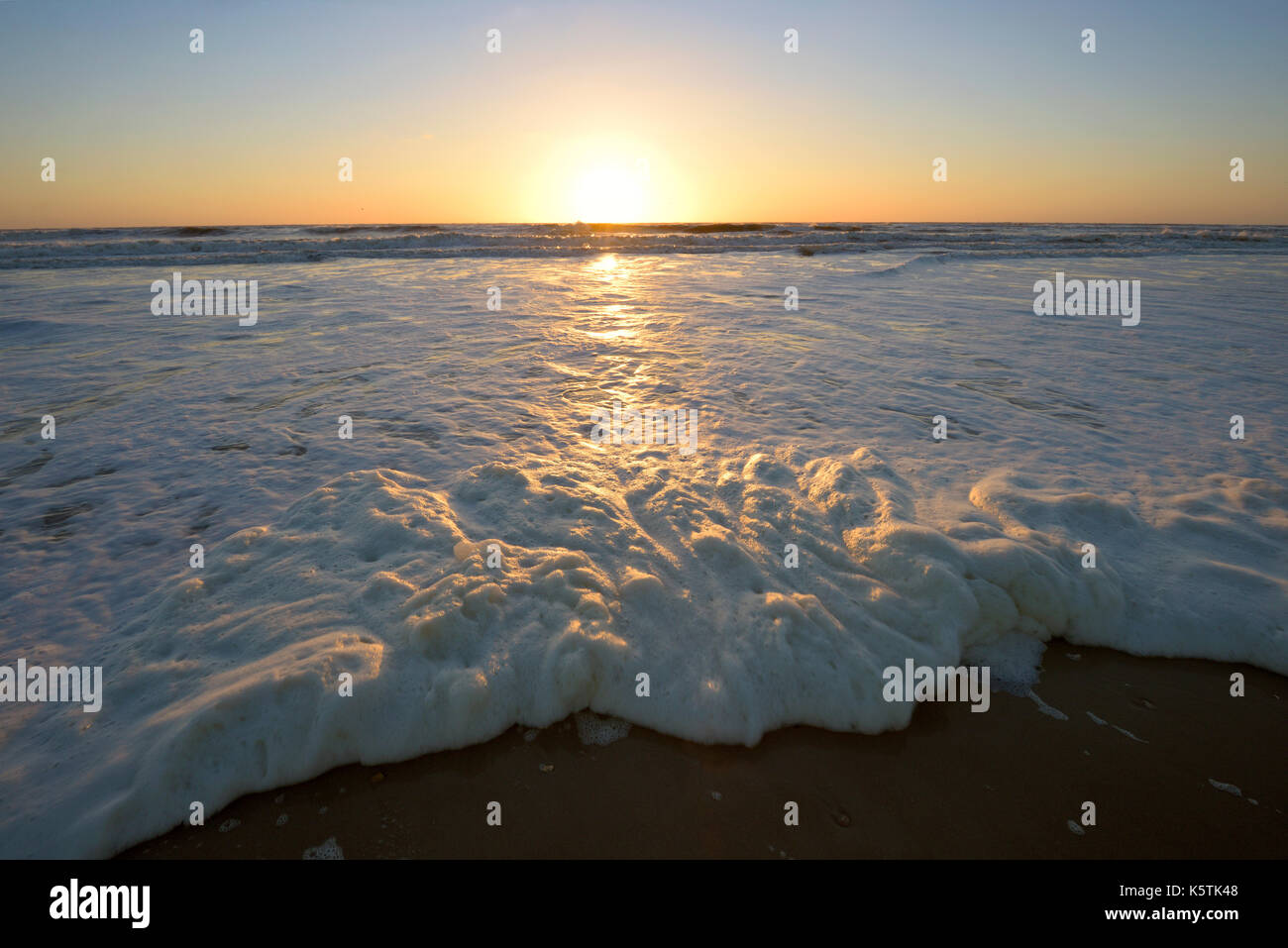 Sea Foam (Phaeocystis globosa), foam formation on the North Sea beach, Texel, North Holland, Netherlands Stock Photo
