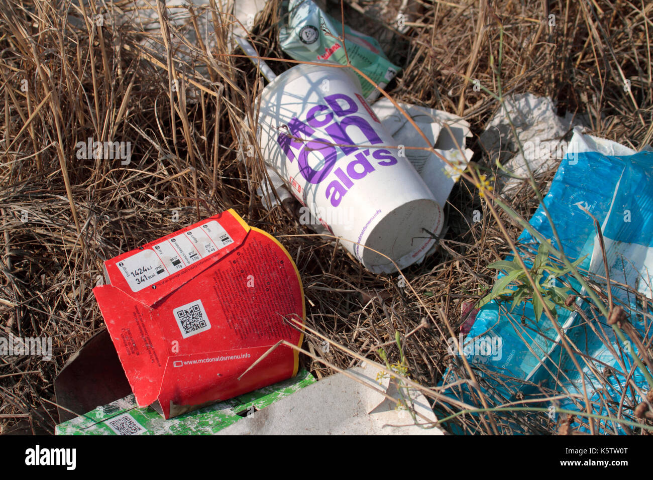 Litter from carelessly discarded fast food packaging, illustrating the problem of waste generated by the fast food industry Stock Photo