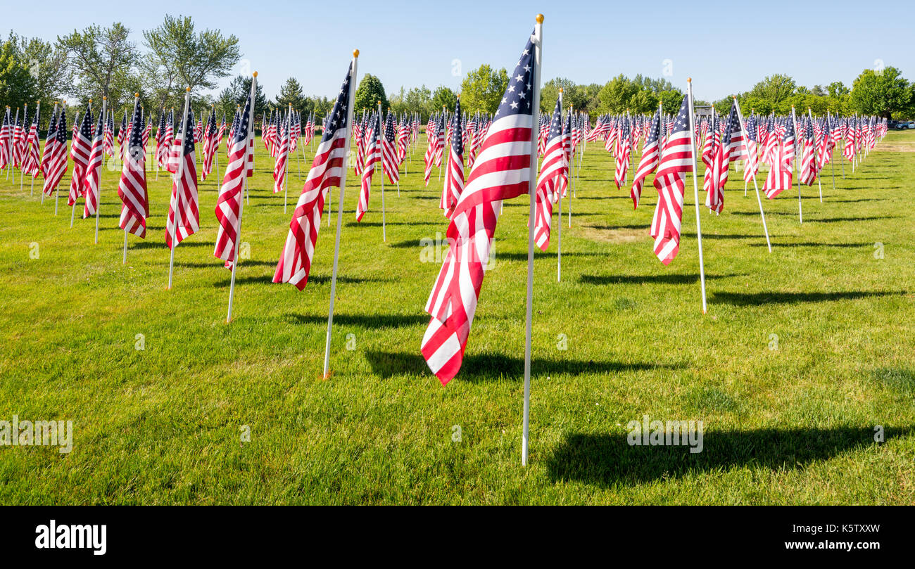 Many flags set up in a pattern in a local park Stock Photo