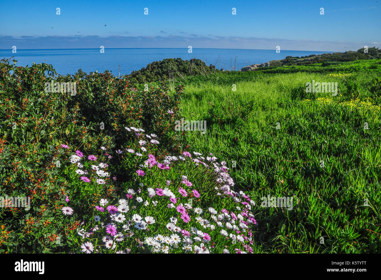 French culture Corsica Islands landscape Stock Photo