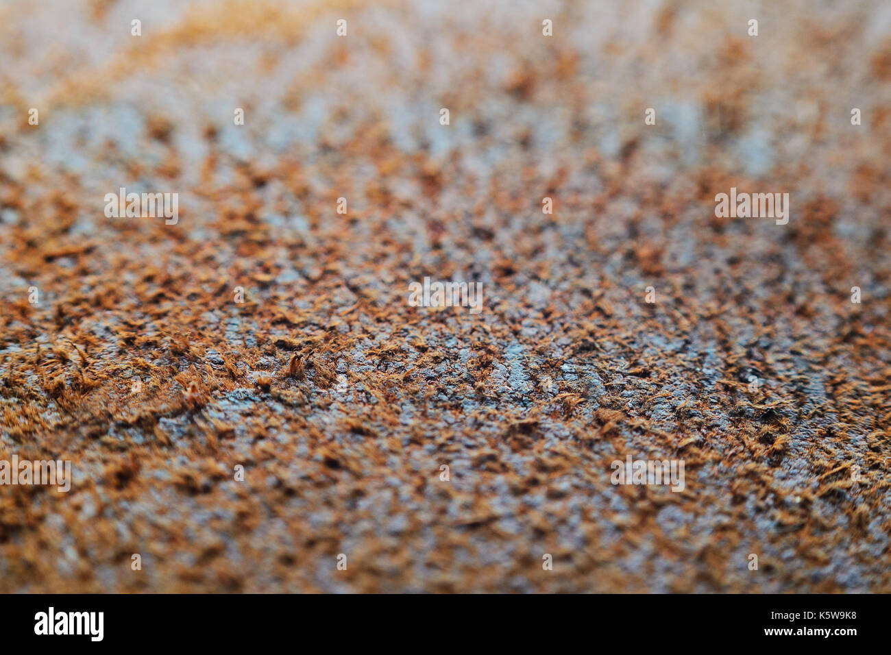 Dark Brown Leather Texture as Background Close-up Stock Photo