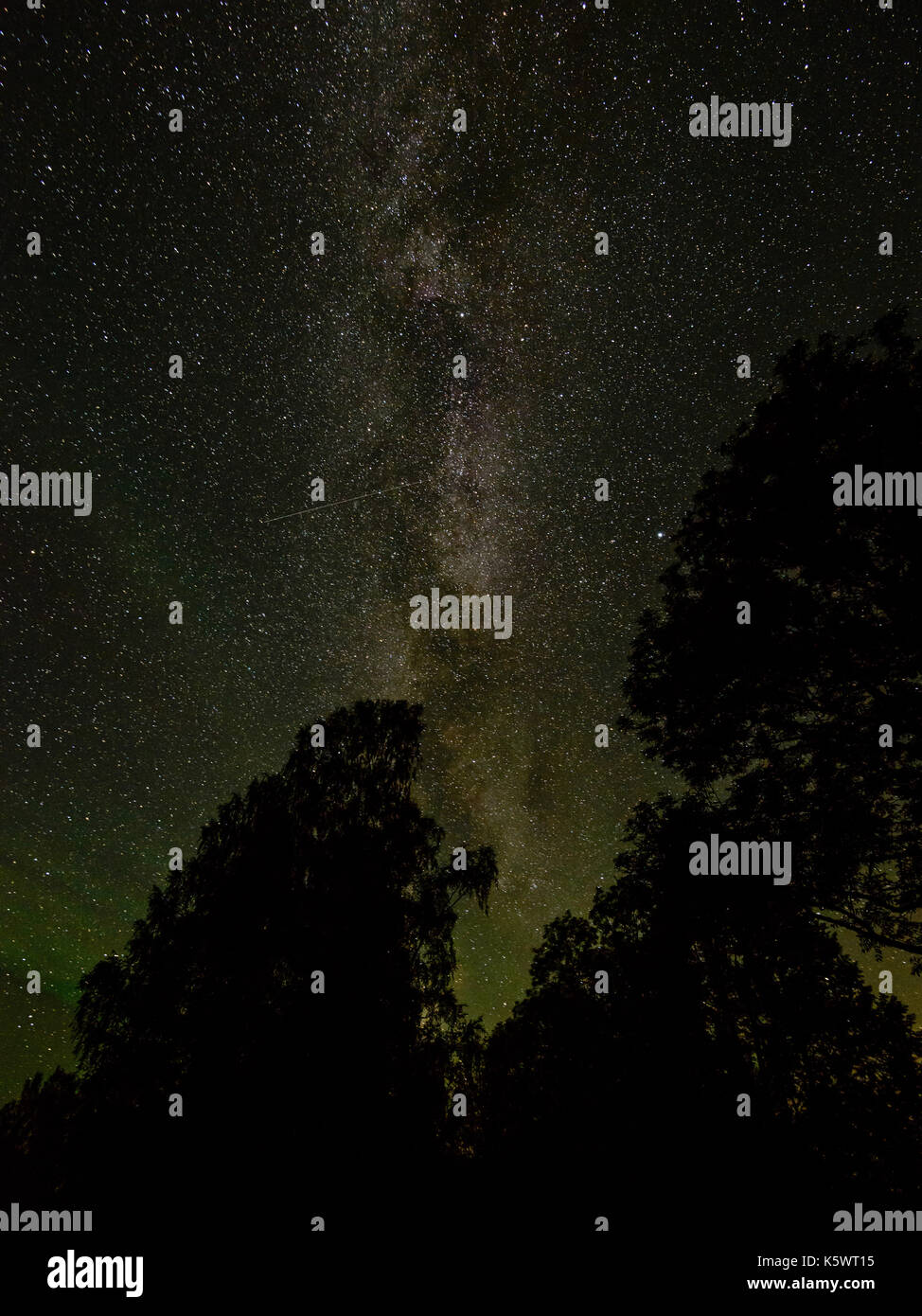 Beautiful milky way galaxy on a night sky and silhouette of tree with ...