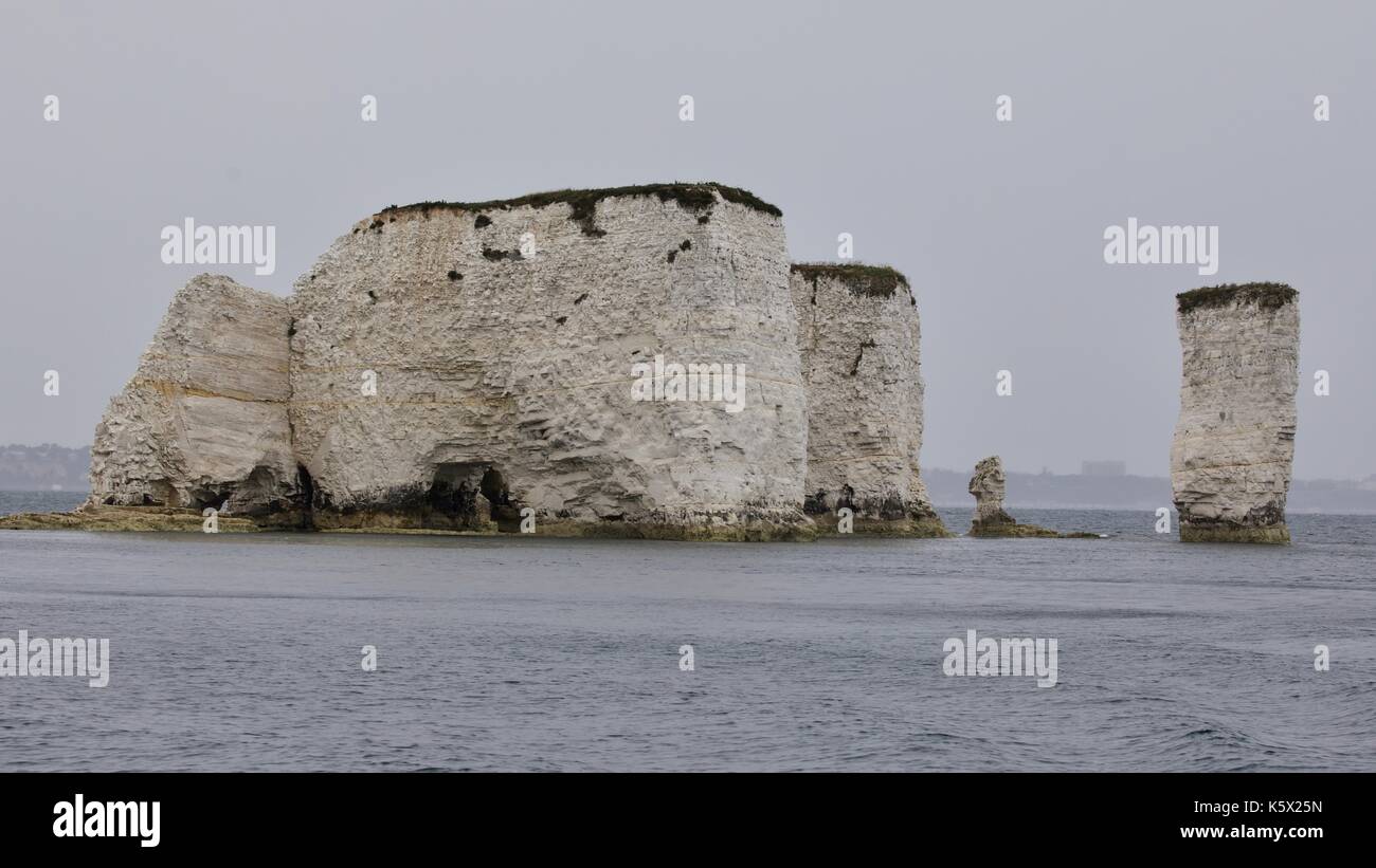 Old Harry Rocks, Dorset Stock Photo - Alamy