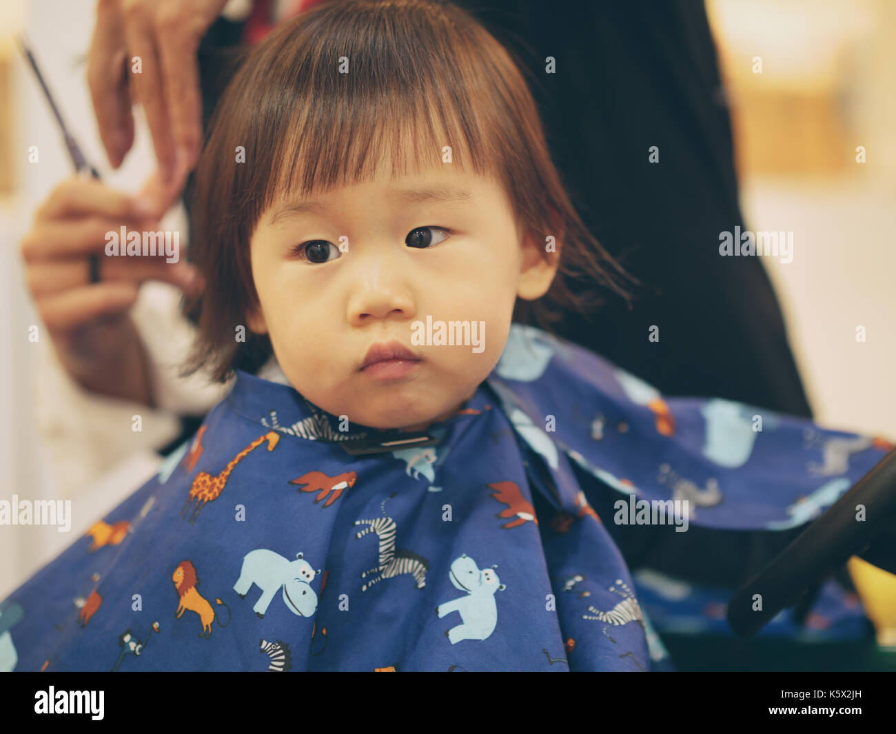 Asian baby girl do hair cut first time in hairdressing shop Stock ...