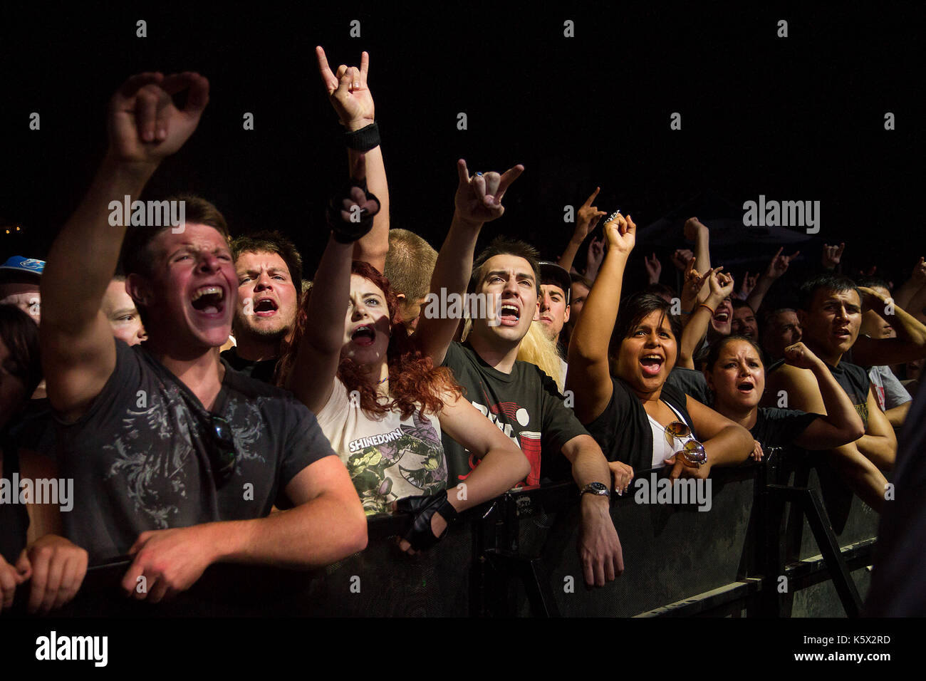 Group of fans enjoying the concert Stock Photo Alamy