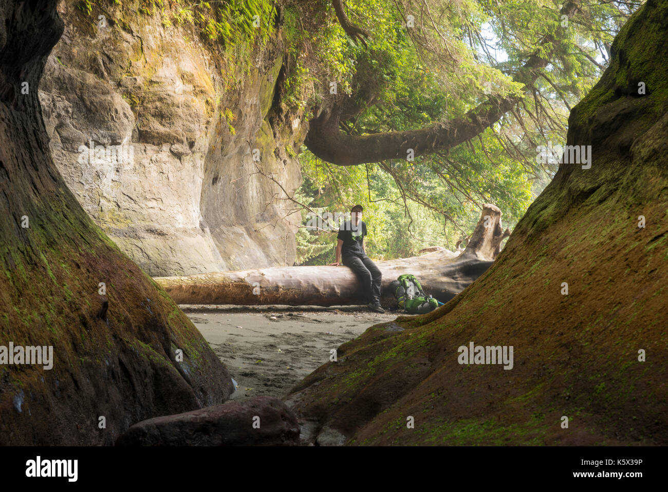 A young male resting on a log at Owen Point, Pacific Rim National Park Stock Photo