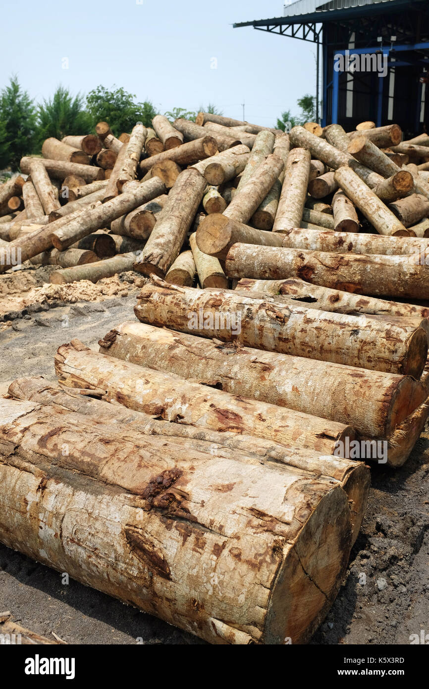 stock pile of lumber logs ready to be processed into plywood Stock Photo