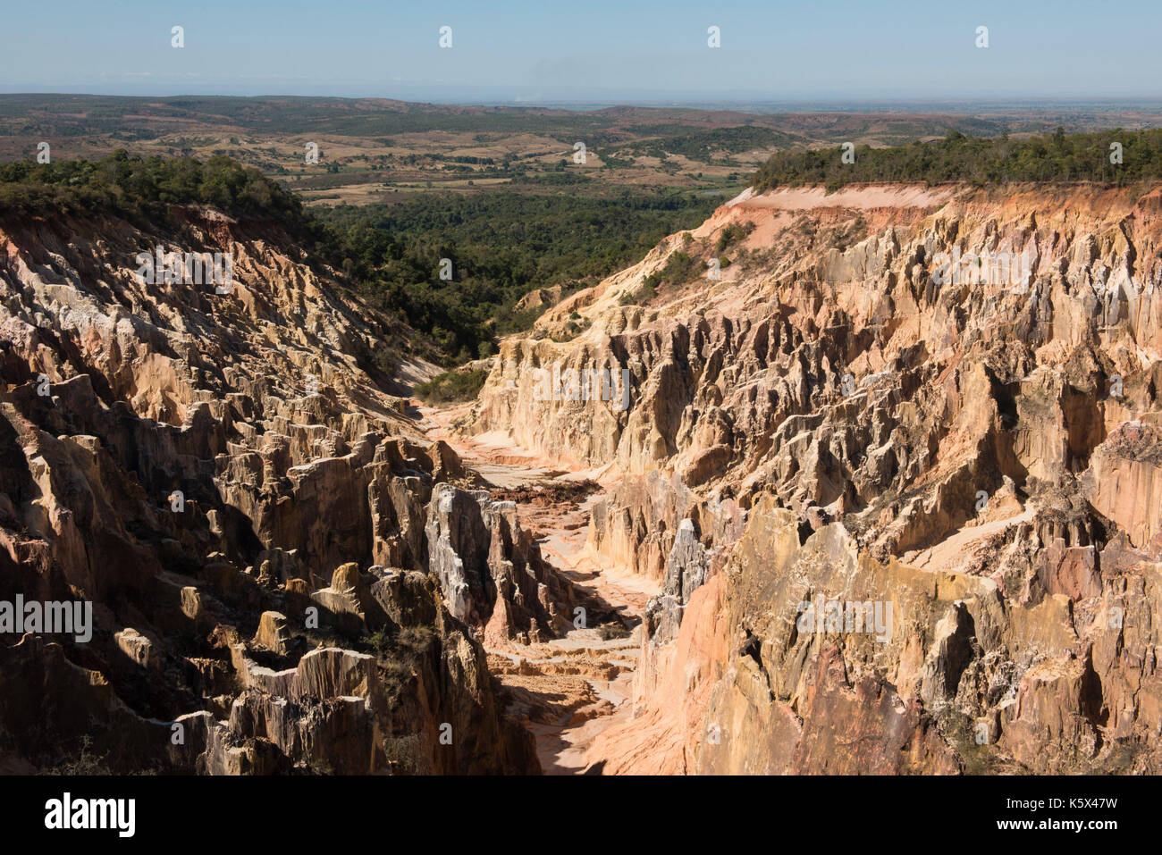 ankarafantsika-national-park-hi-res-stock-photography-and-images-alamy