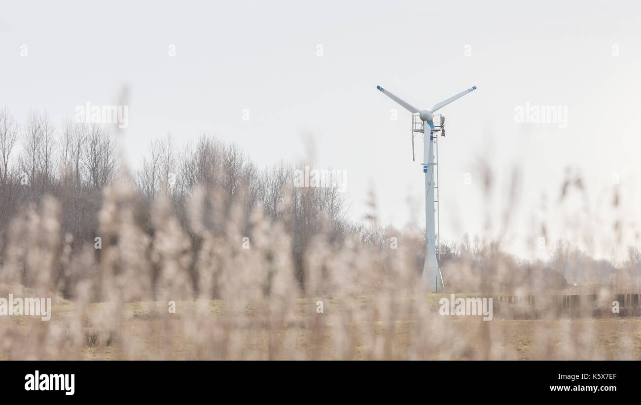 Wind turbine in the dutch landscape - producing alternative energy ...