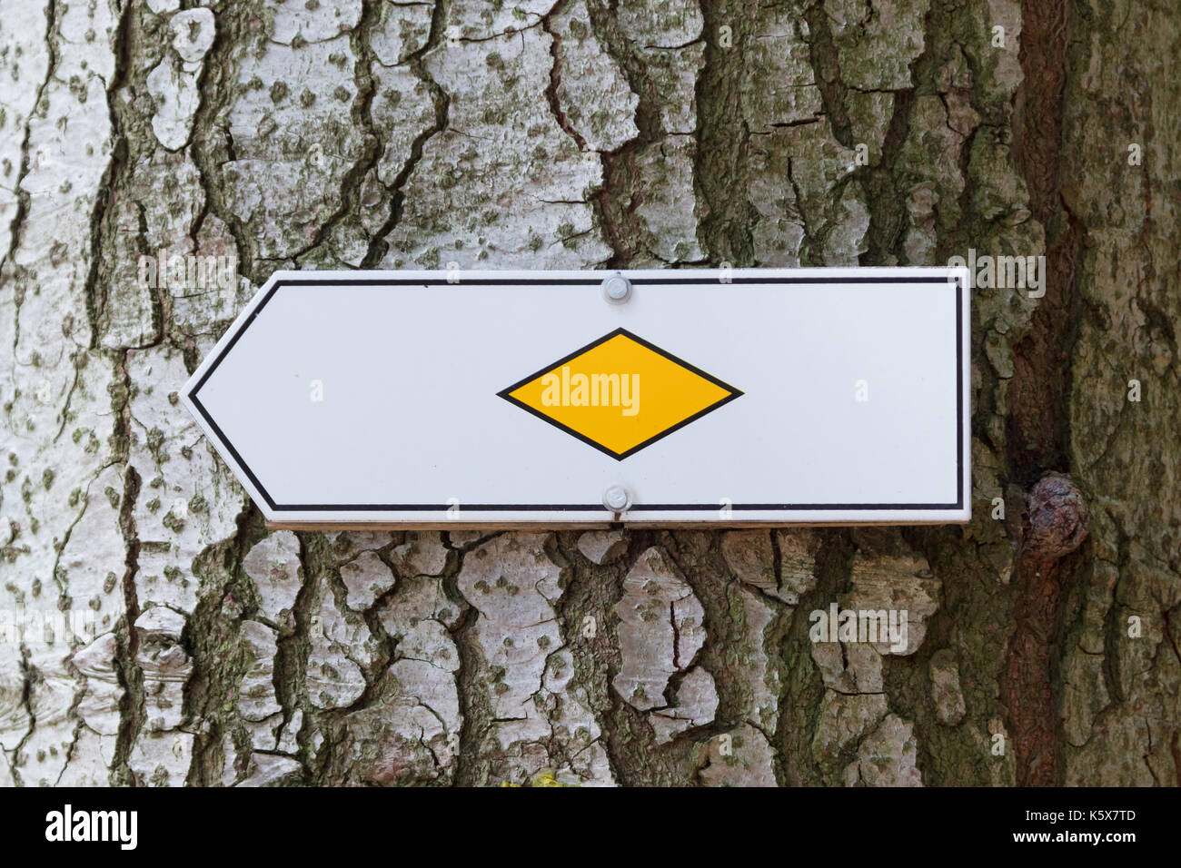 Walking path sign in a tree in Germany - Schwarzwald Stock Photo - Alamy