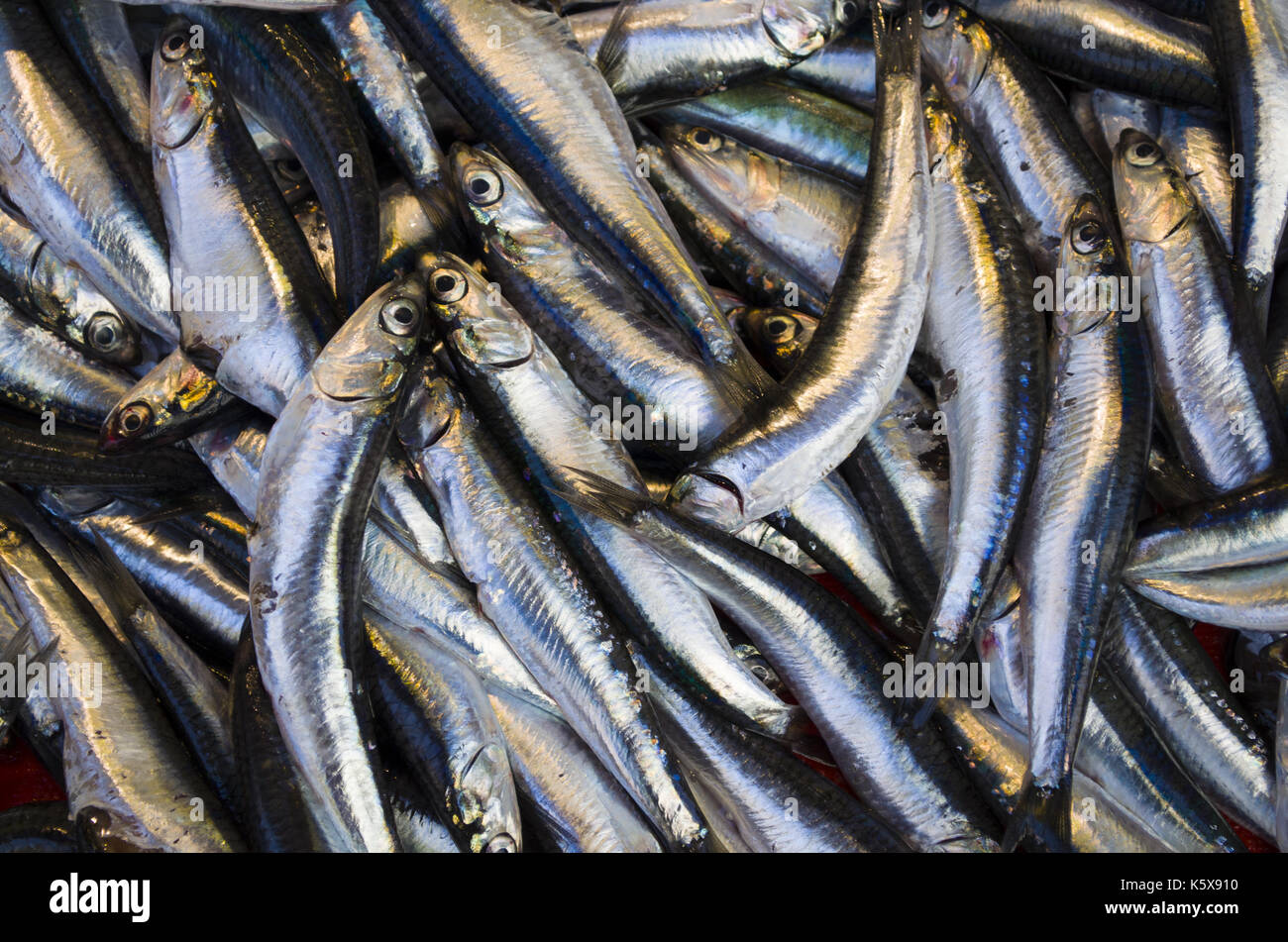 anchovies Stock Photo
