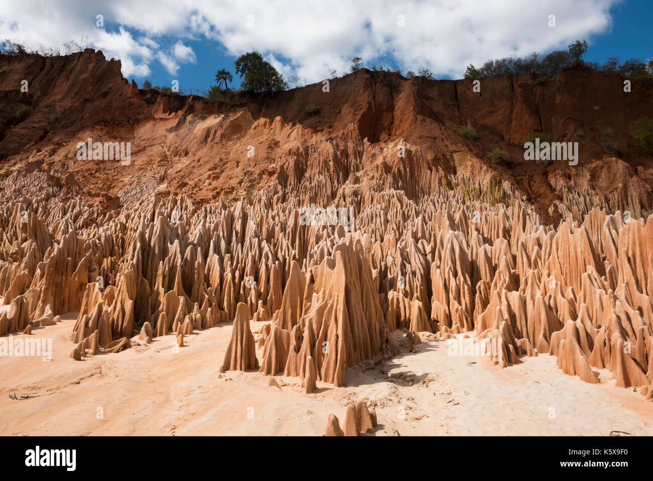 Red tsingy, near Antsiranana, Madagascar Stock Photo