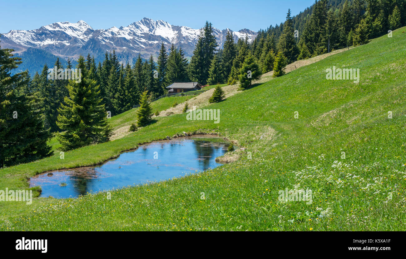 Mountain landscape. Ridanna Valley, South Tyrol, Trentino Alto Adige, northern italy Stock Photo