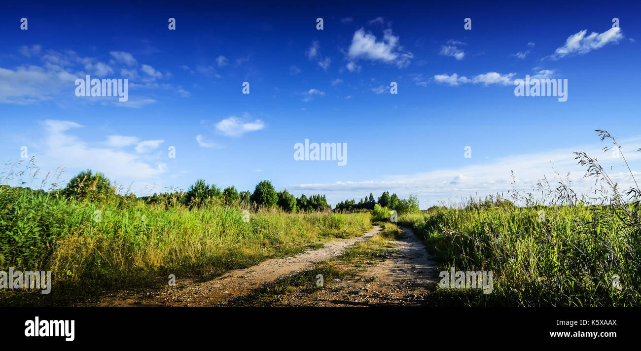 Rural road in field Stock Photo - Alamy