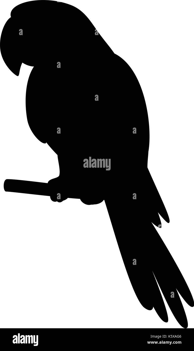 Parrot on a pole, silhouette Stock Vector