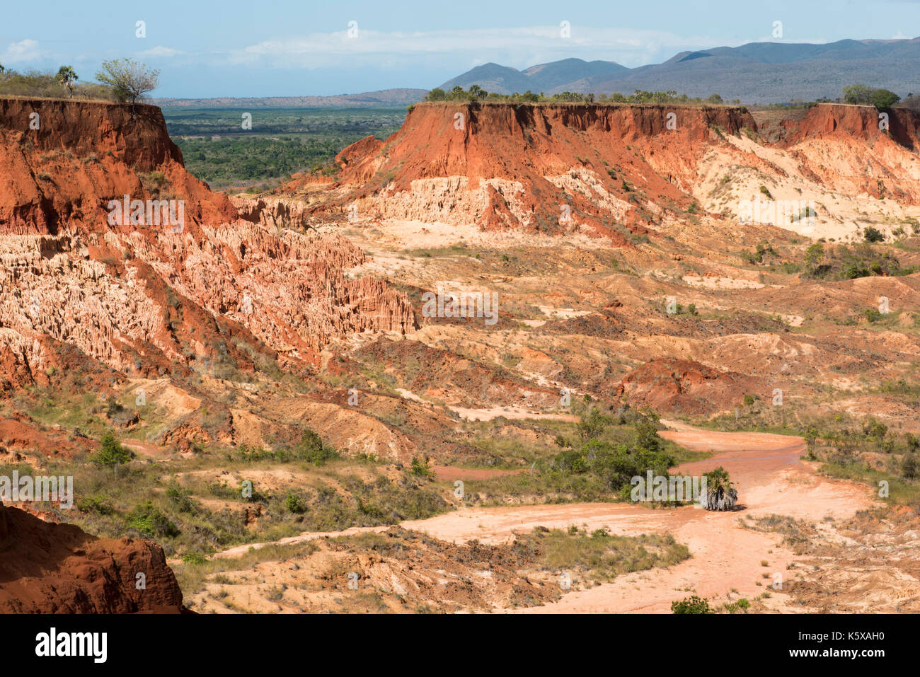 Red tsingy, near Antsiranana, Madagascar Stock Photo