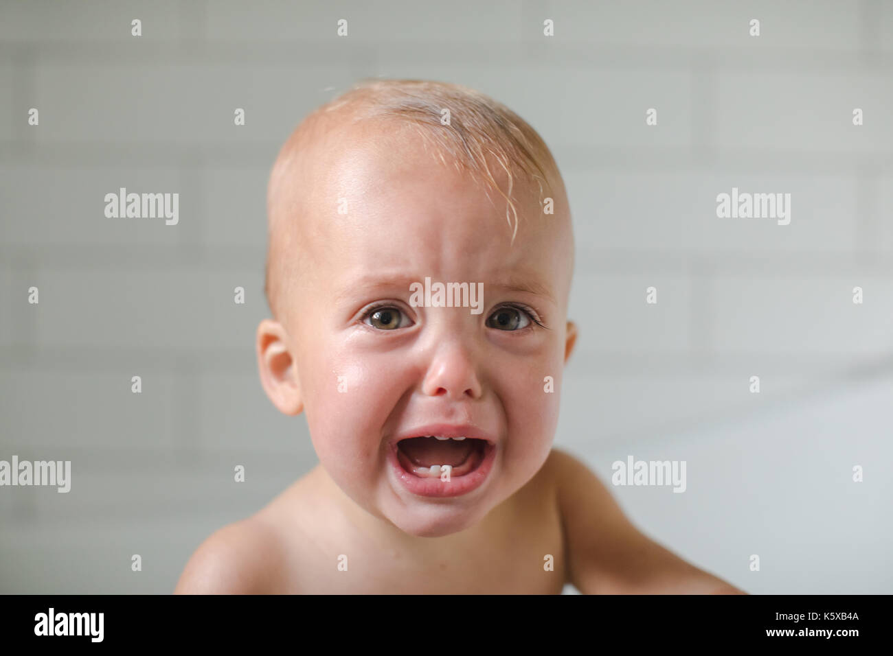 One-year-old baby cries close-up six teeth visible on a white background Stock Photo