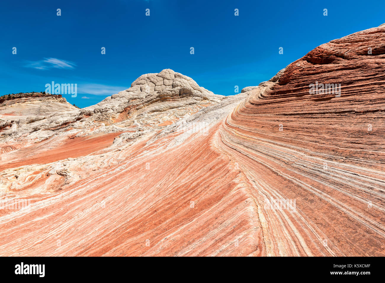 The Wave of sandstone formations in White Pocket, Arizona, USA. Stock Photo