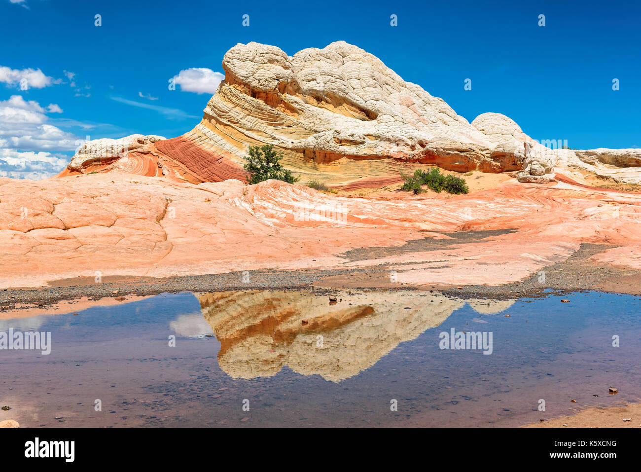 White Pocket area of Vermilion Cliffs National Monument, Arizona. Stock Photo