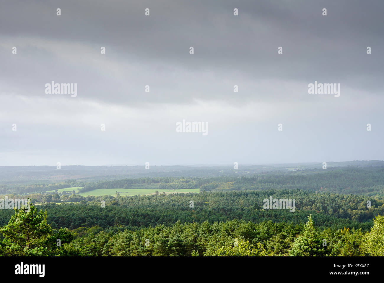 Crooksbury hires stock photography and images Alamy