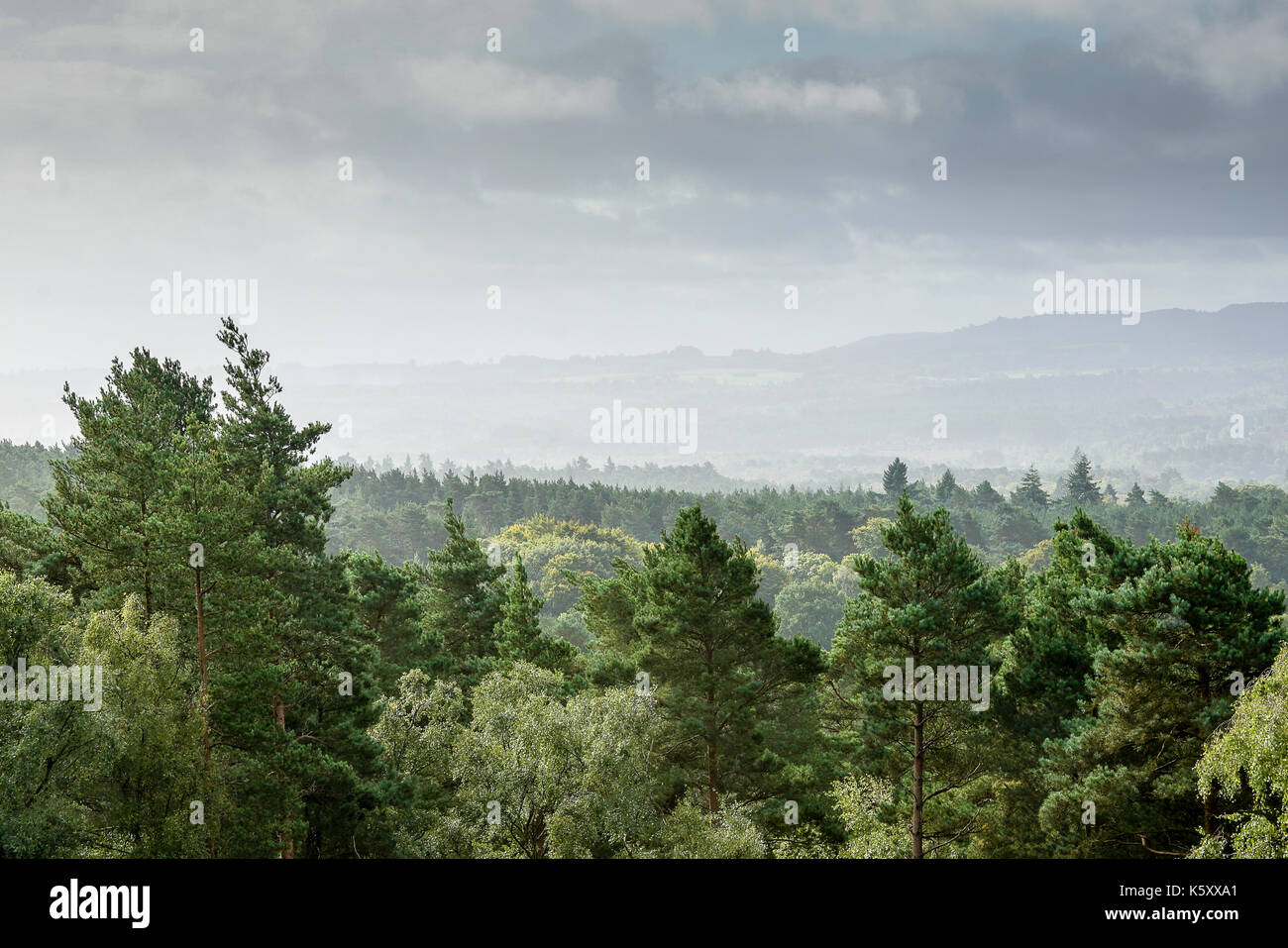 Crooksbury hires stock photography and images Alamy