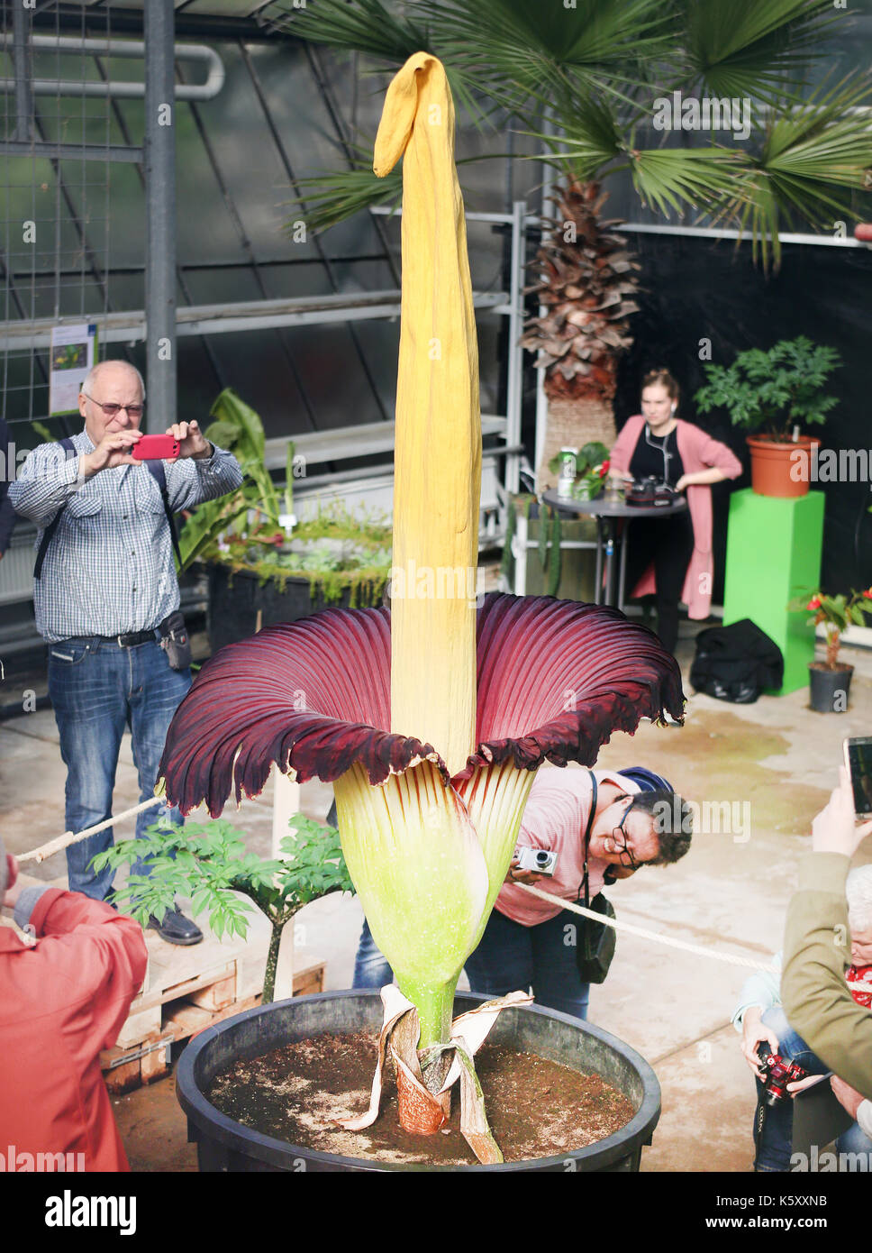 Bochum, Germany. 11th Sep, 2017. Visitors stand in awe over the Titan