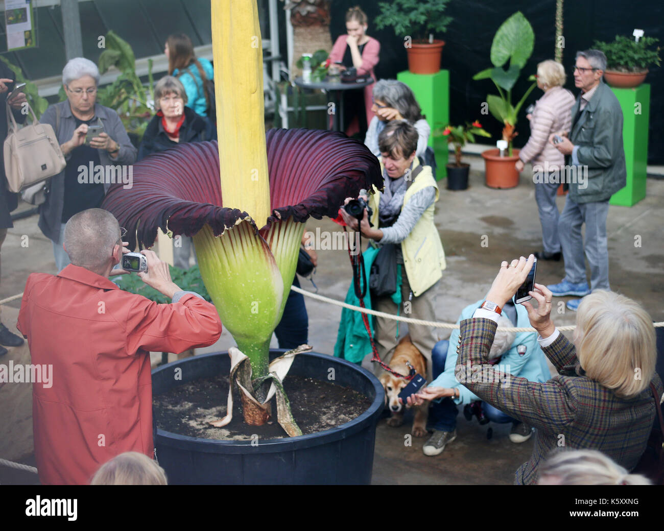 Bochum, Germany. 11th Sep, 2017. Visitors stand in awe over the Titan