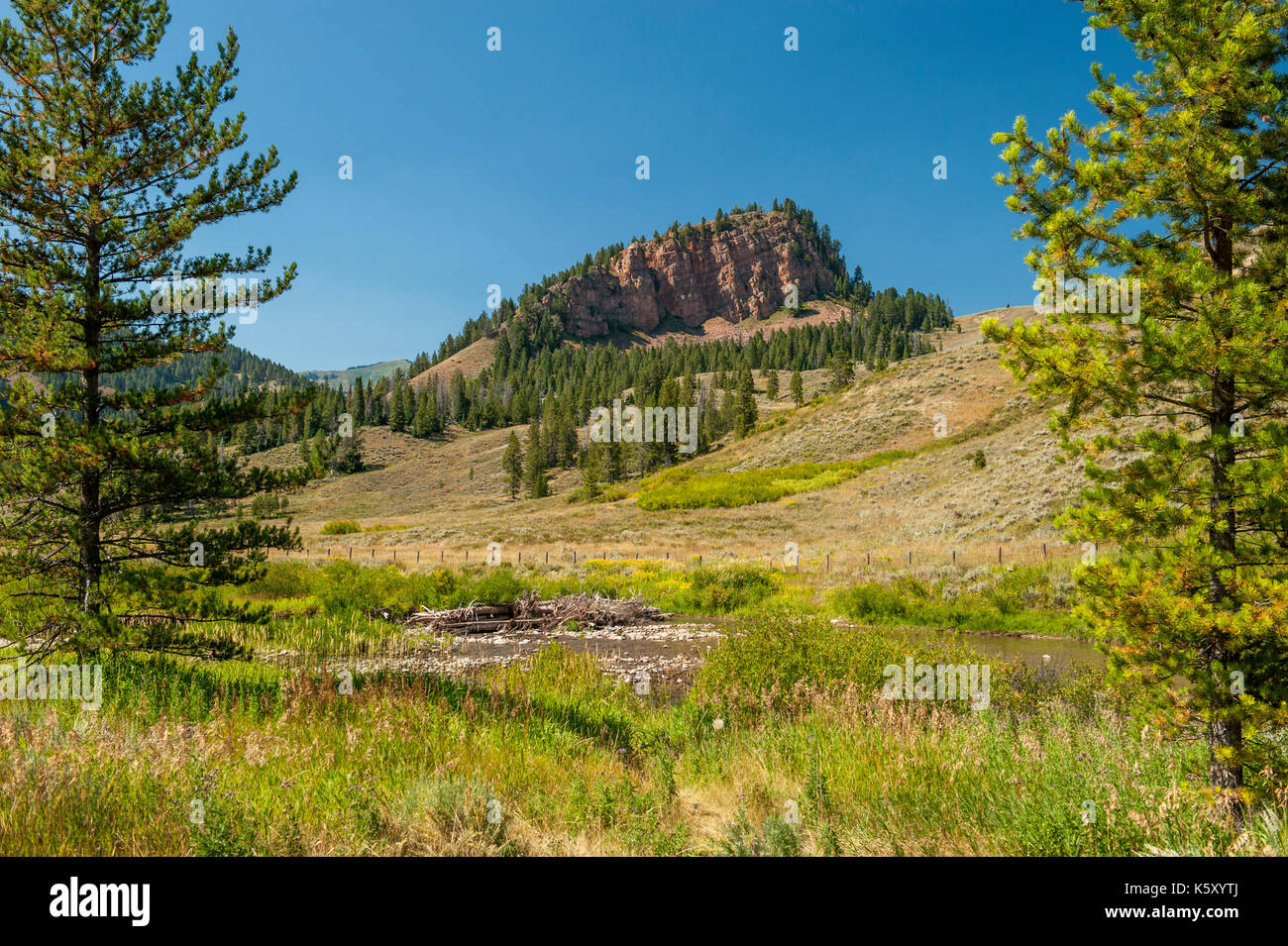 Battle Mountain and the Hoback River in western Wyoming Stock Photo Alamy