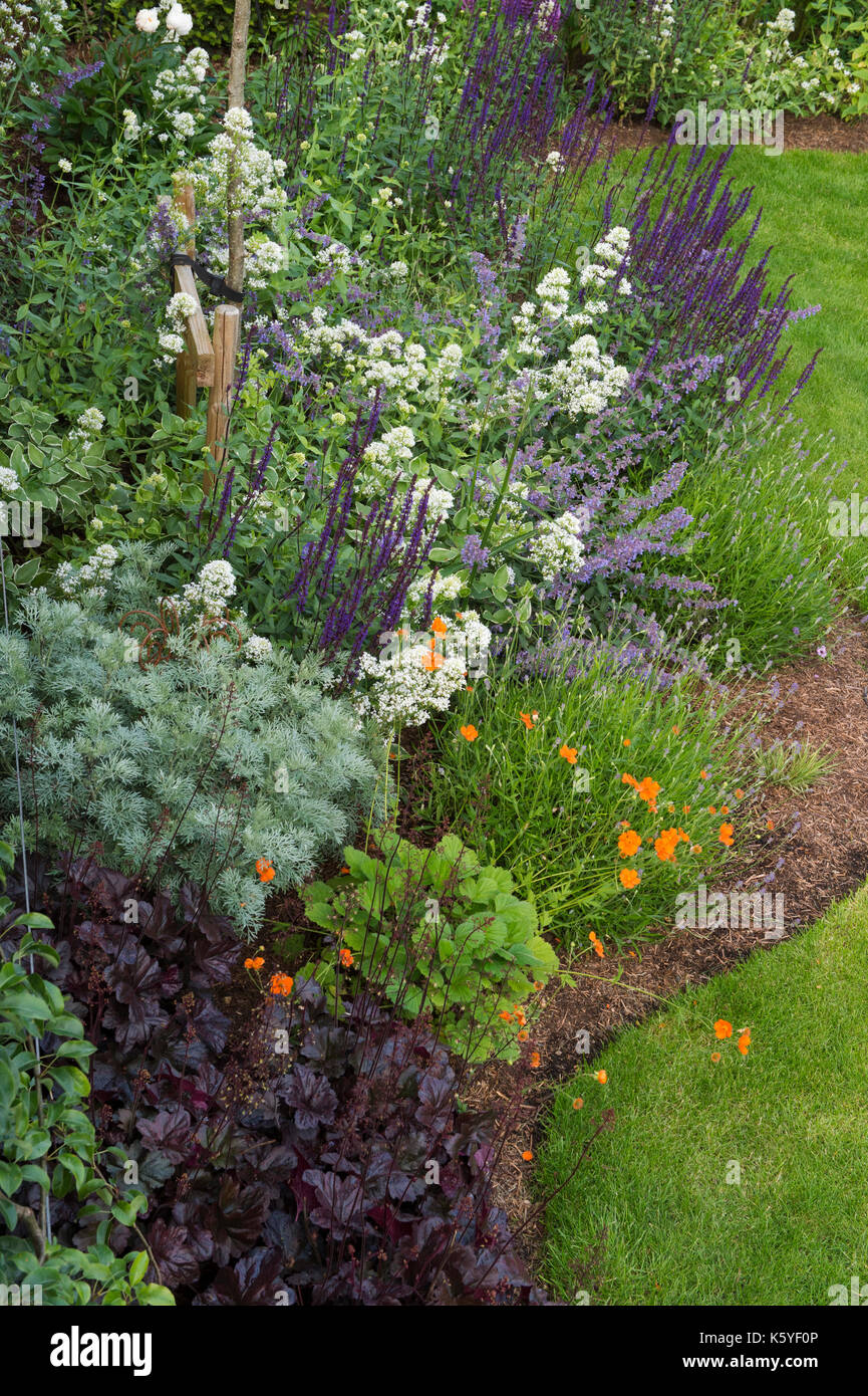 Beautiful, private, traditional, landscaped, country garden, West Yorkshire, England, UK - summer flowering plants in close-up on herbaceous border Stock Photo