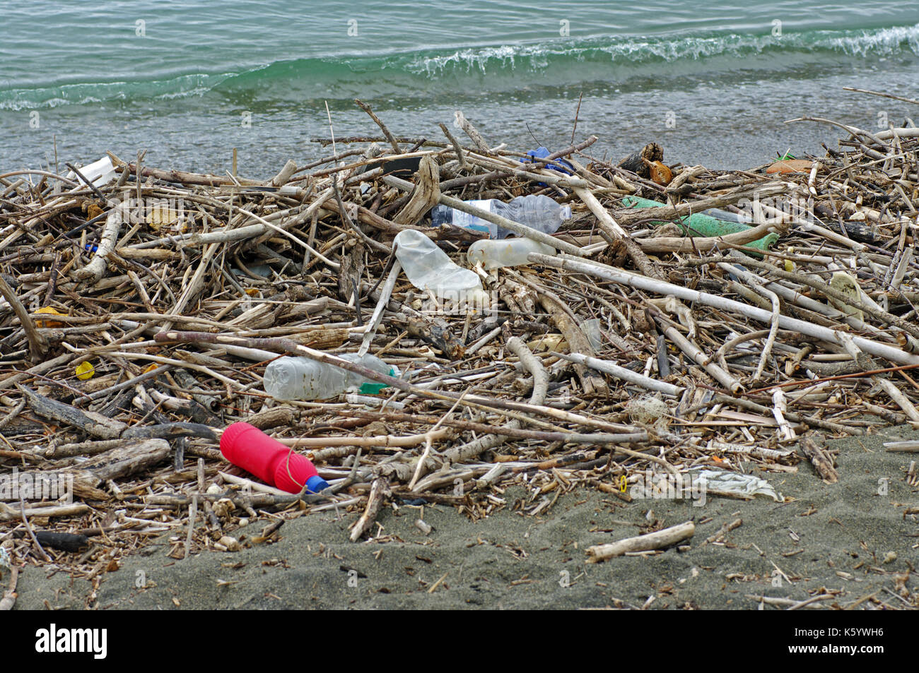 Environmental pollution: Plastic bottles that a river brings into the Mediterranean sea (Italy, September 2016) Stock Photo