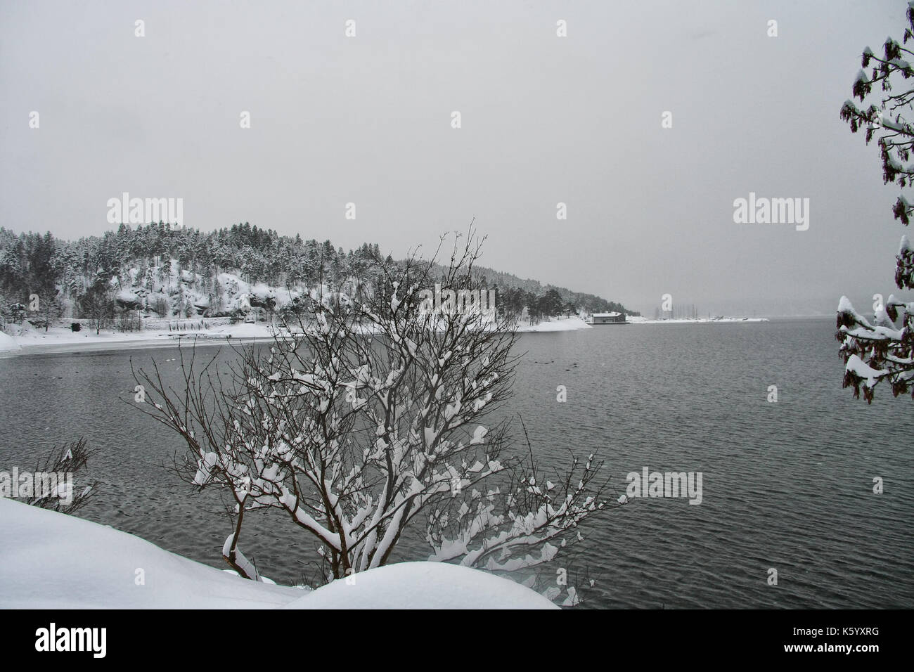 View of oslofjord on a cold winter day Stock Photo