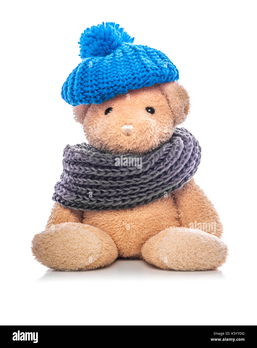 teddy bear with hat and scarf