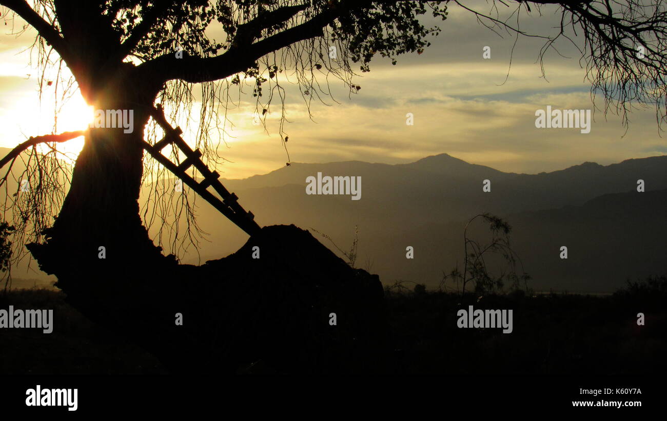 Mecca ladders hires stock photography and images Alamy