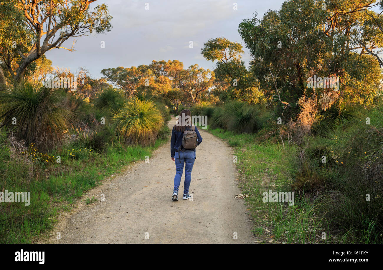 Woman walking down a path through Star Swamp Reserve Reserve suburban bushland Stock Photo