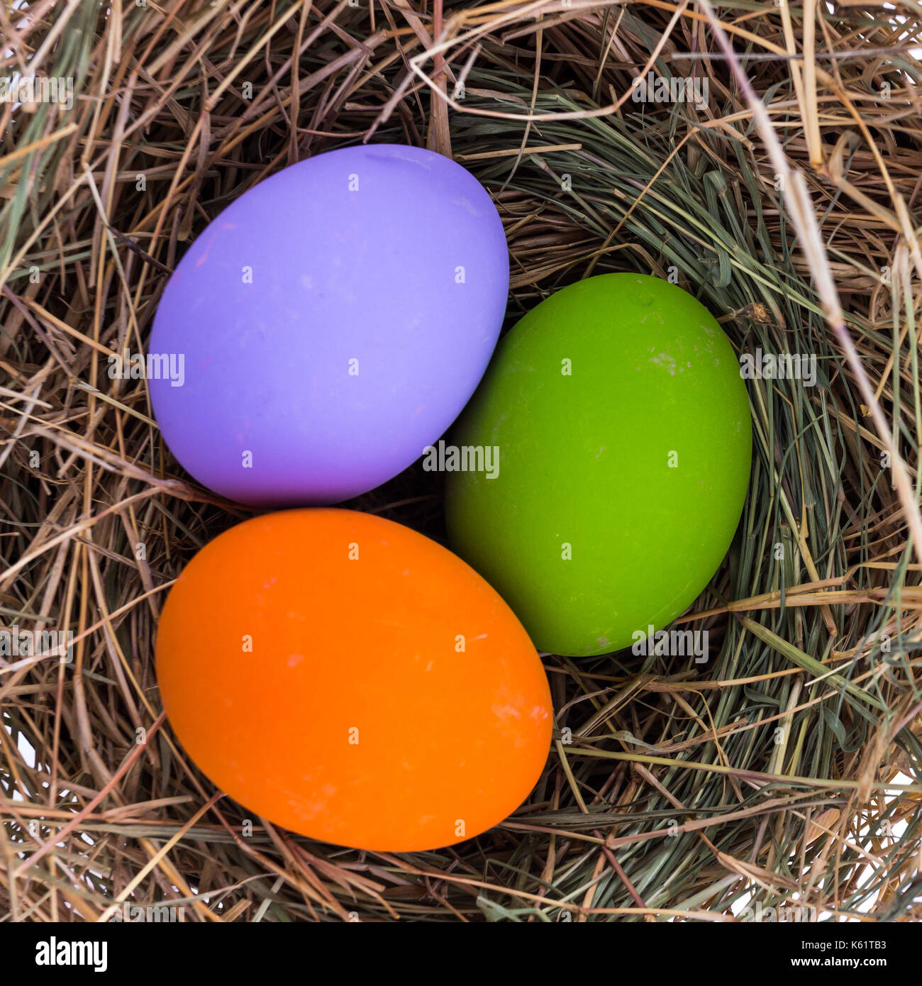 Easter eggs in nest on white background Stock Photo - Alamy