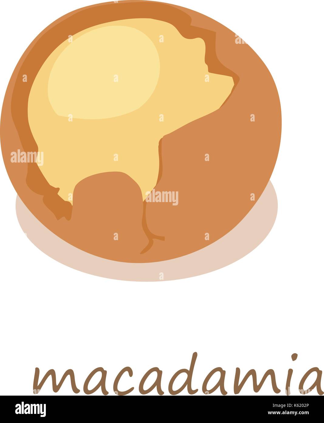 Macadamia icon, isometric 3d style Stock Vector