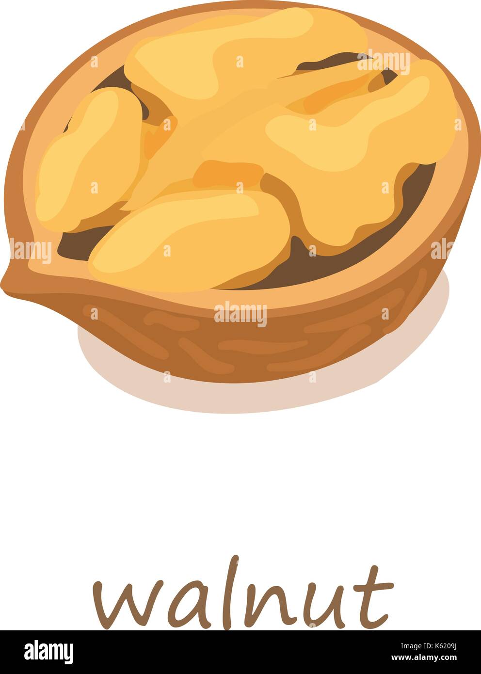 Walnut icon, isometric 3d style Stock Vector