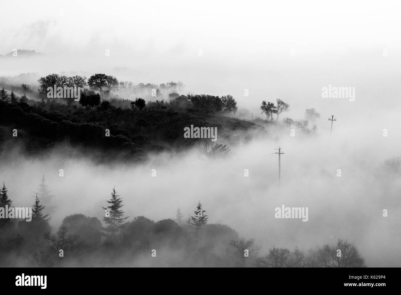 Fog filling up a valley, with emerging trees, hills and power lines Stock Photo