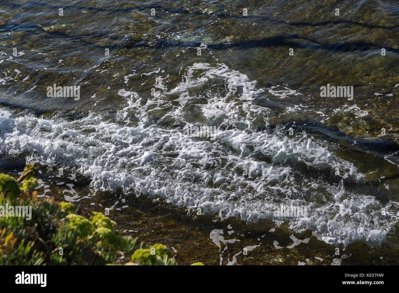 De Mer High Resolution Stock Photography And Images Alamy
