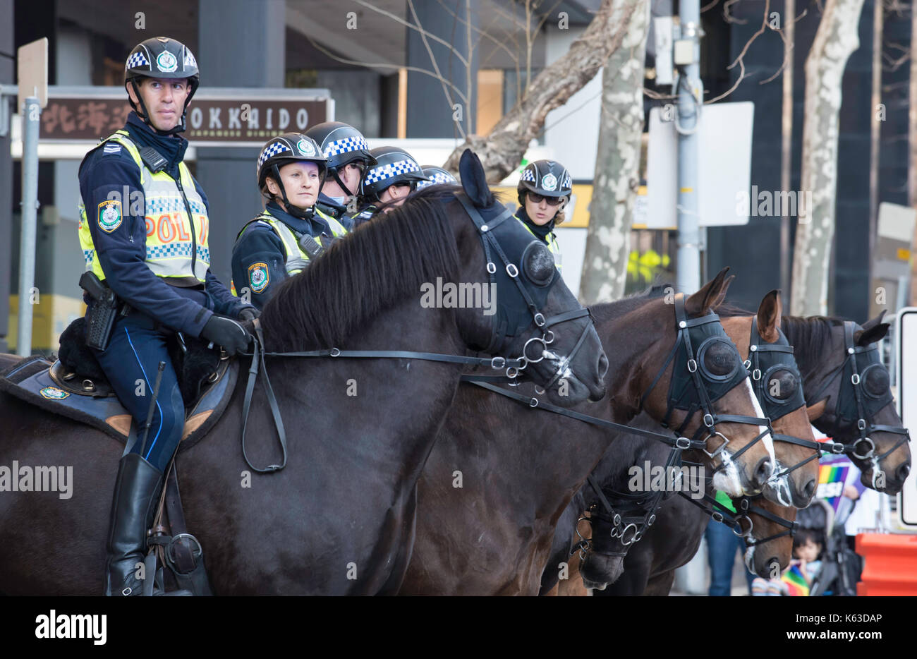 Mounted Australian police in a line at a peaceful protest in Sydney, New South Wales, in September 2017 for marriage equality Stock Photo