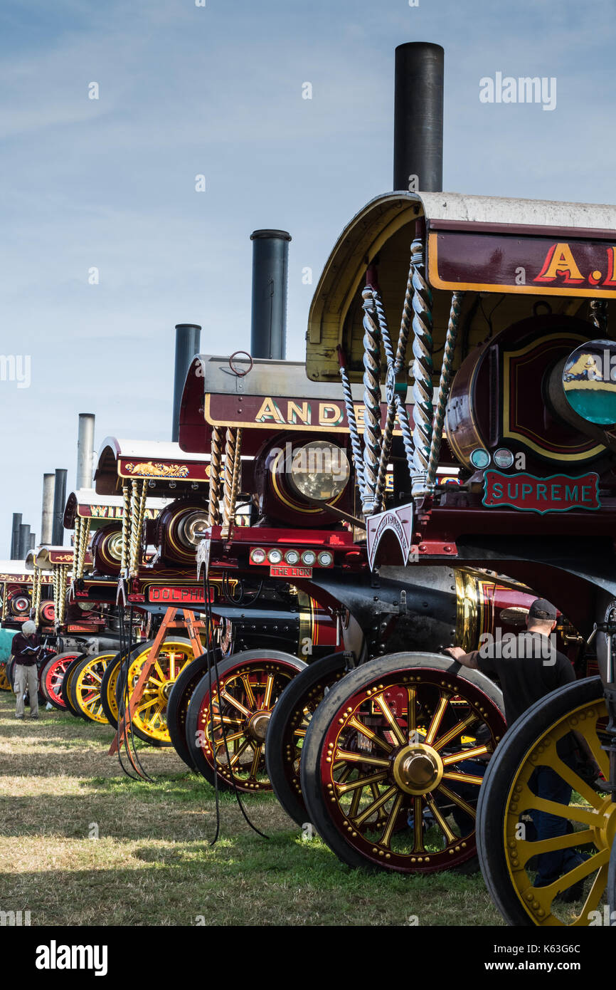 Line up of showman's engines at the Great Dorset Steam Fair, Tarrant Hinton 2017 Stock Photo