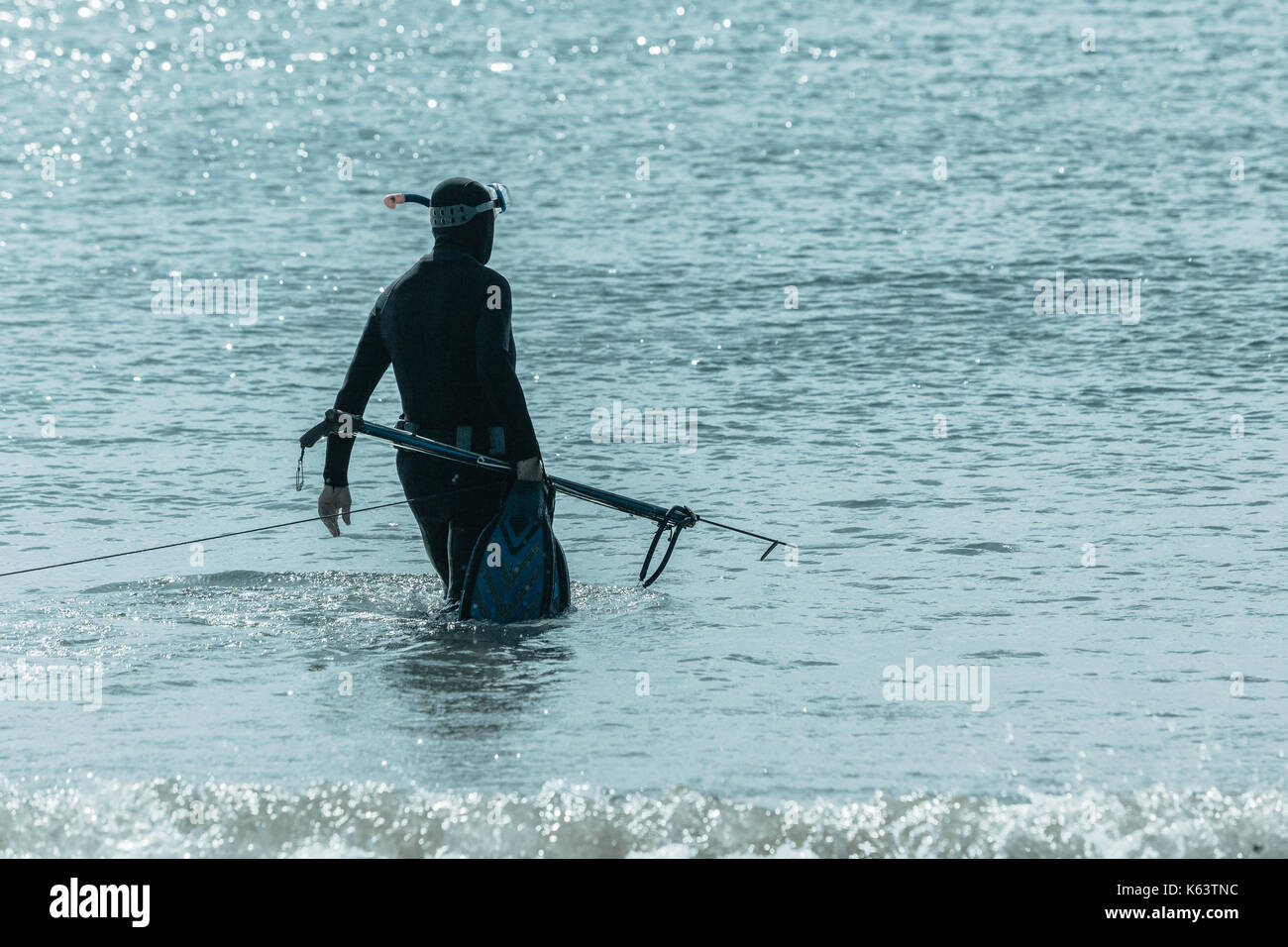 Fishing spear gun hi-res stock photography and images - Page 2 - Alamy