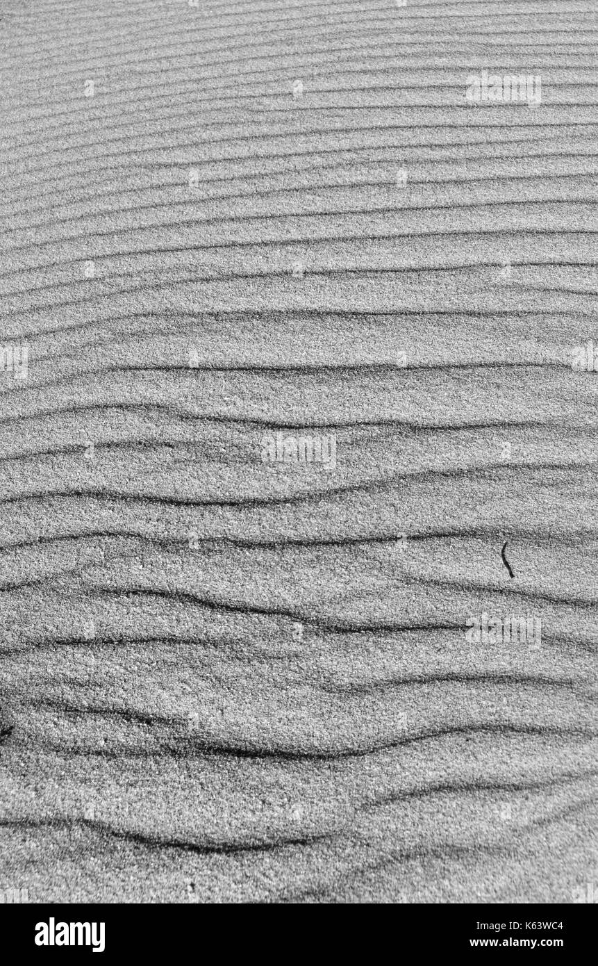 Beach sand texture formed by wind. Natural backgrounds Stock Photo Alamy