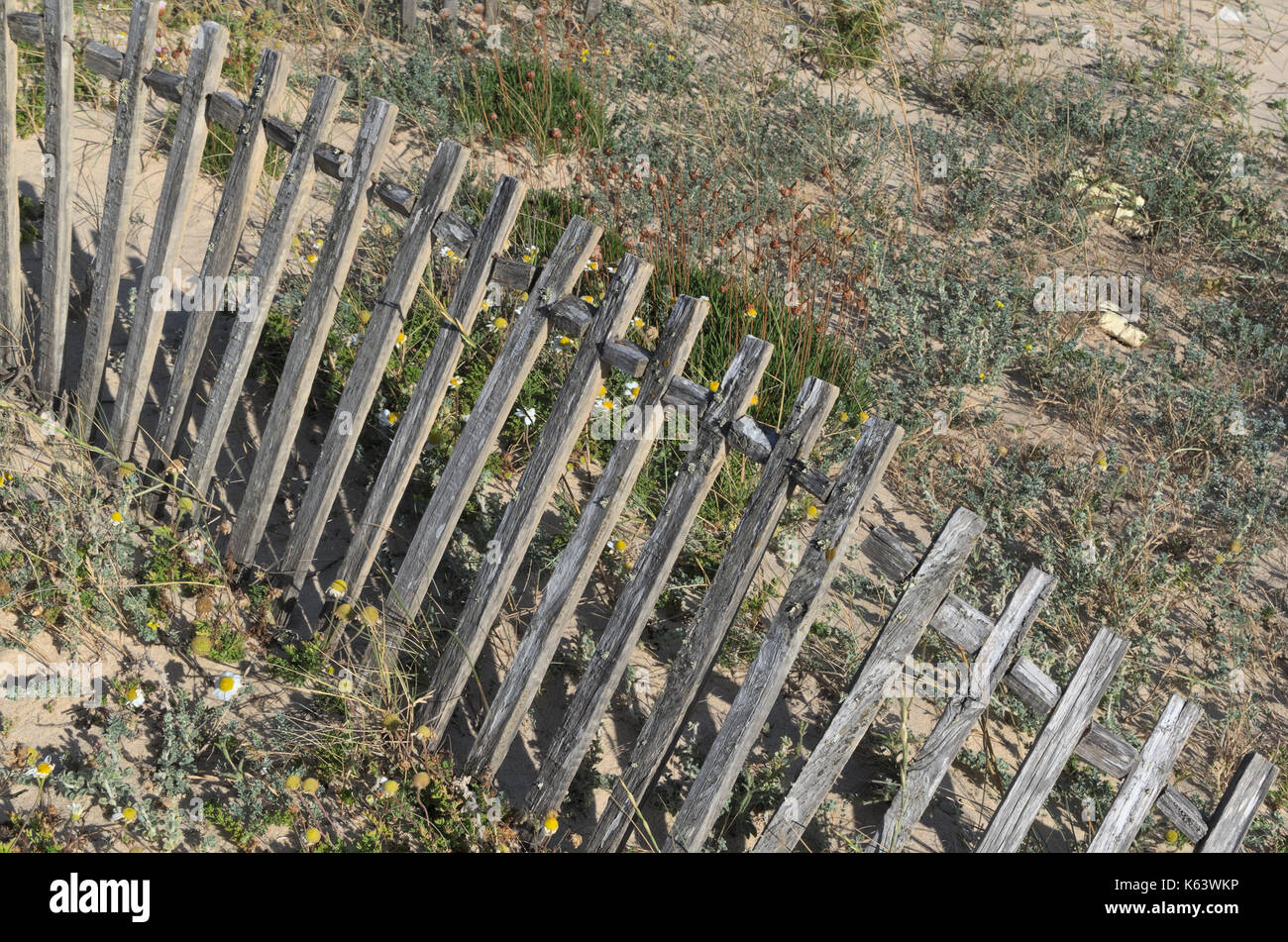 Sand dunes in Faro beach. Algarve, Portugal Stock Photo Alamy