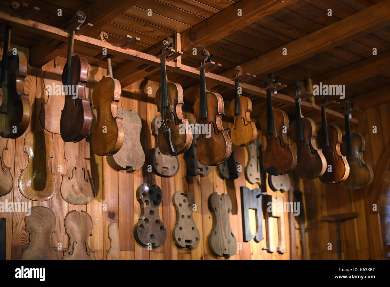 Low angle view of violins with violas hanging in instrument maker workshop Stock Photo