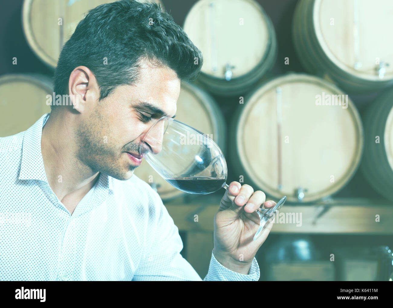 european adult man having wine tasting in cellar with woods Stock Photo ...