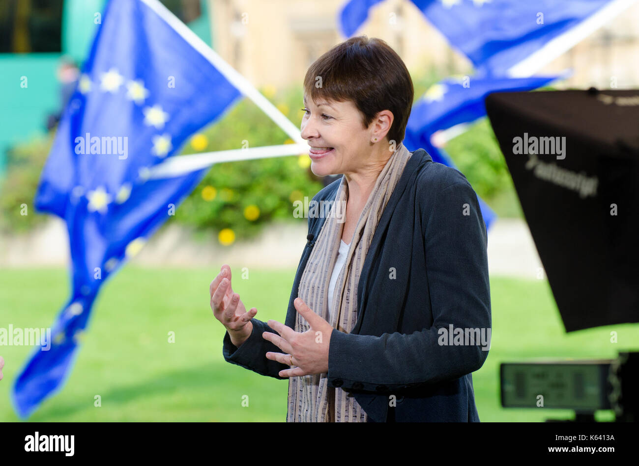 Caroline Lucas MP (Green: Brighton Pavilion and Co-Leader) interviewed on College Green, Westminster, as Parliament debates the EU Withdrawal Bill (Se Stock Photo