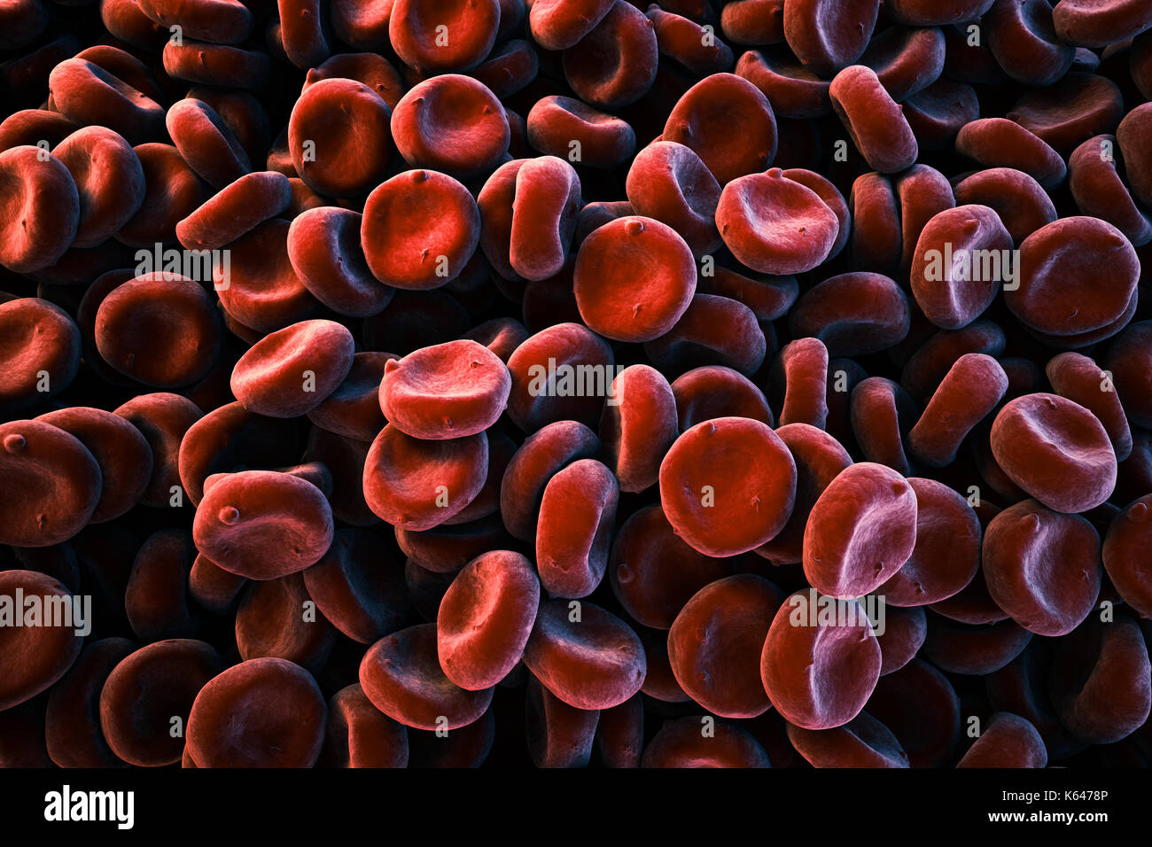 Close-up of image of oxygen carrying Red Blood Cells (Erythrocytes) piled up, full frame, SEM (Scanned Electron Microscope) color stylized depiction. Stock Photo